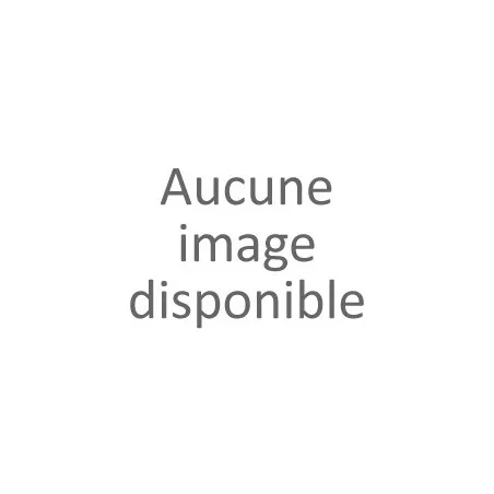 Ballerine confort femme blanc