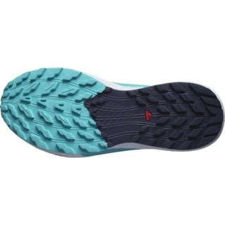 Chaussures de Trail Salomon Femme Sense Ride 5 Cashmere Blue Carbon Peacock Blue