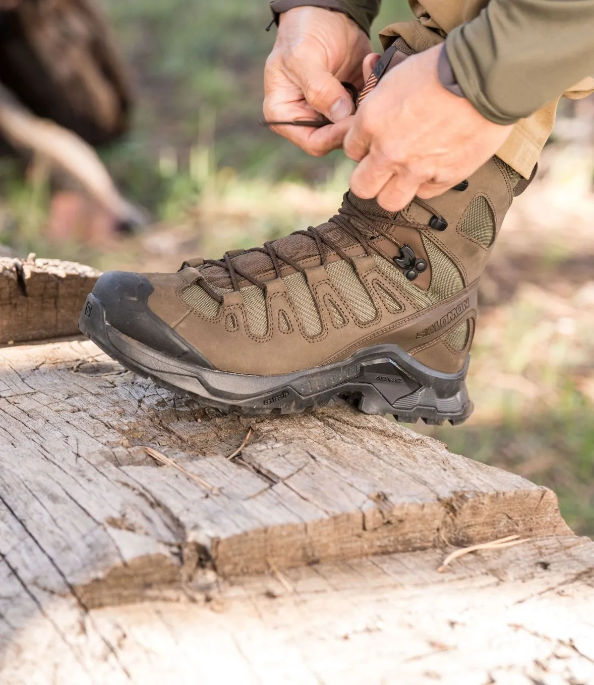 Chaussures Quest Tracker High GTX - Marron - Salomon