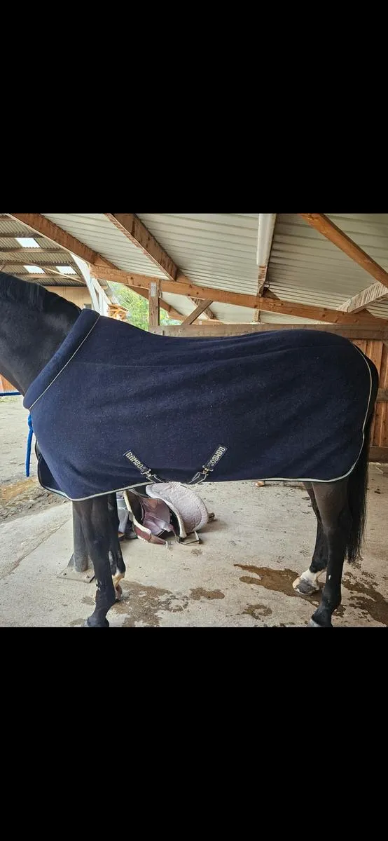 Polaire Horseware Rambo Cosy